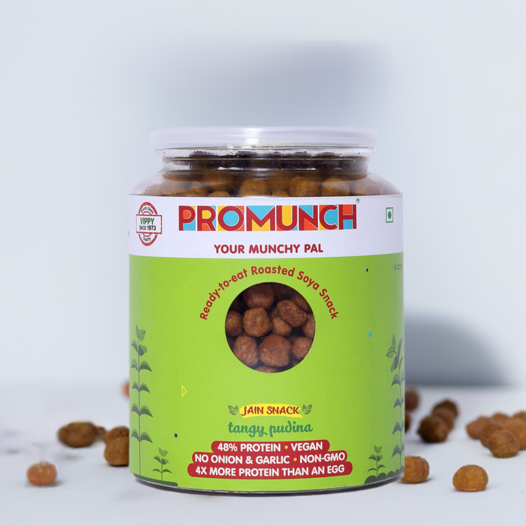 Tangy Pudina Protein Snacks-300gm