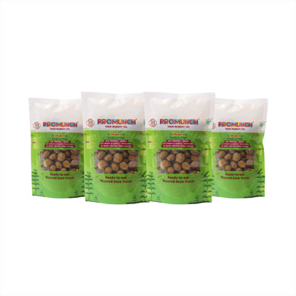 PROMUNCH Travel Combo Pack (Tangy Pudina) 30gm x 4