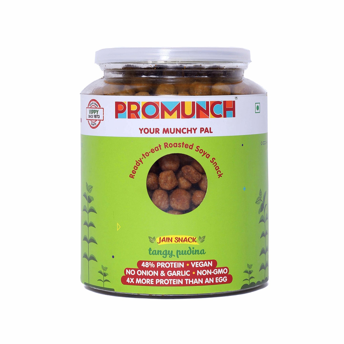 Tangy Pudina Protein Snacks-300gm