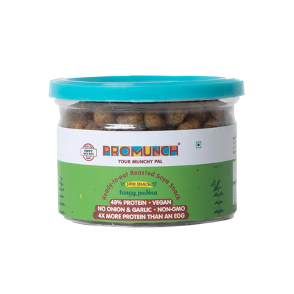 Tangy Pudina Protein Snacks